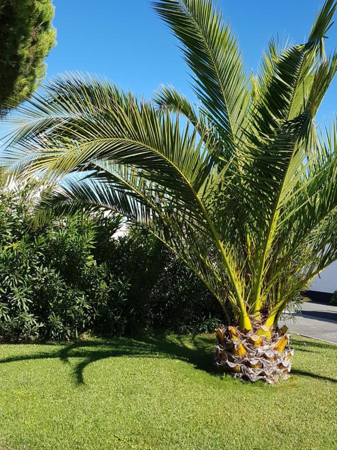 Hotel Jerodel Le Bois-Plage-en-Ré Екстериор снимка